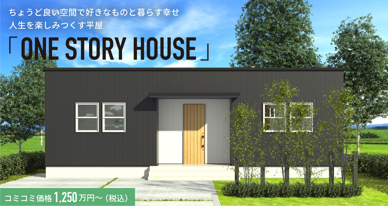 ONE STORY HOUSE